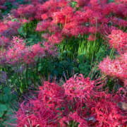 ヒメ日記 2026/03/08 09:09 投稿 道城ゆか プランタン大塚