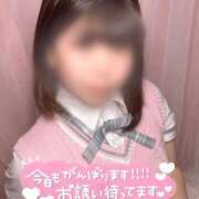 ヒメ日記 2025/05/12 09:15 投稿 葵まいか 水戸ソープ アイドル彼女