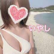 ヒメ日記 2025/04/29 13:47 投稿 いやし ドンファン