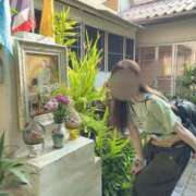 ヒメ日記 2025/05/01 10:41 投稿 いやし ドンファン