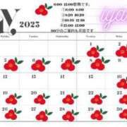 ヒメ日記 2025/05/01 11:15 投稿 いやし ドンファン