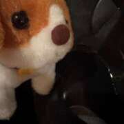 ヒメ日記 2025/05/01 12:04 投稿 いやし ドンファン