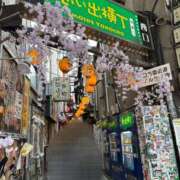 ヒメ日記 2025/05/02 07:39 投稿 いやし ドンファン