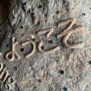 ヒメ日記 2025/05/02 09:03 投稿 いやし ドンファン