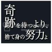 ヒメ日記 2025/05/03 08:39 投稿 いやし ドンファン