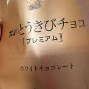 ヒメ日記 2025/05/04 04:02 投稿 いやし ドンファン