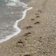 ヒメ日記 2025/05/04 06:13 投稿 いやし ドンファン