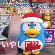 ヒメ日記 2025/05/04 06:26 投稿 いやし ドンファン
