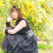 ヒメ日記 2025/05/04 11:52 投稿 いやし ドンファン