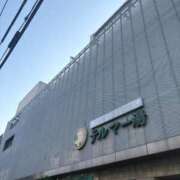 ヒメ日記 2025/05/06 06:07 投稿 いやし ドンファン