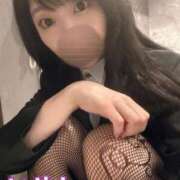 ヒメ日記 2025/05/06 22:39 投稿 いやし ドンファン