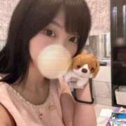 ヒメ日記 2025/05/08 06:06 投稿 いやし ドンファン