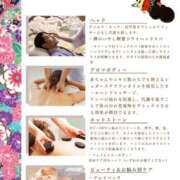 ヒメ日記 2025/05/16 09:05 投稿 いやし ドンファン