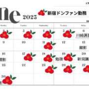 ヒメ日記 2025/05/21 10:08 投稿 いやし ドンファン