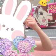 ヒメ日記 2025/05/24 05:52 投稿 いやし ドンファン