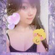 ヒメ日記 2025/05/25 06:31 投稿 いやし ドンファン