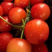 ヒメ日記 2025/05/29 10:31 投稿 いやし ドンファン