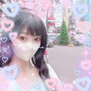 ヒメ日記 2025/05/29 15:11 投稿 いやし ドンファン