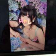 ヒメ日記 2025/05/30 13:02 投稿 いやし ドンファン