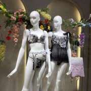 ヒメ日記 2025/06/01 10:13 投稿 いやし ドンファン