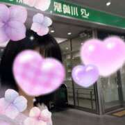 ヒメ日記 2025/06/06 21:48 投稿 いやし ドンファン