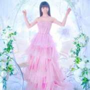 ヒメ日記 2025/06/11 10:10 投稿 いやし ドンファン