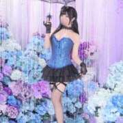 ヒメ日記 2025/06/19 06:01 投稿 いやし ドンファン