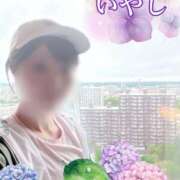 ヒメ日記 2025/06/22 08:46 投稿 いやし ドンファン