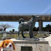 ヒメ日記 2025/07/06 08:50 投稿 いやし ドンファン