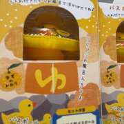 ヒメ日記 2025/07/16 21:54 投稿 いやし ドンファン