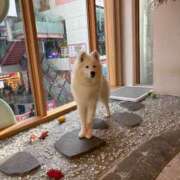 ヒメ日記 2025/07/18 08:40 投稿 いやし ドンファン