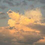 ヒメ日記 2025/08/04 05:58 投稿 いやし ドンファン