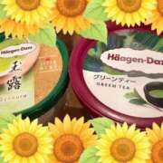 ヒメ日記 2025/08/04 06:56 投稿 いやし ドンファン