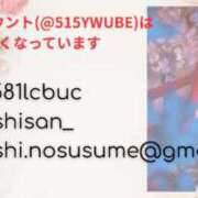 ヒメ日記 2025/08/11 06:50 投稿 いやし ドンファン