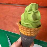 ヒメ日記 2025/08/11 17:59 投稿 いやし ドンファン