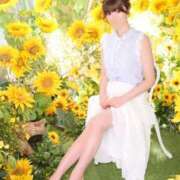 ヒメ日記 2025/08/13 20:09 投稿 いやし ドンファン