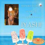 ヒメ日記 2025/08/14 12:35 投稿 いやし ドンファン