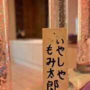 ヒメ日記 2025/08/20 19:38 投稿 いやし ドンファン