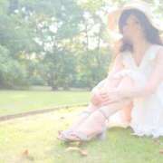 ヒメ日記 2025/08/24 18:20 投稿 いやし ドンファン