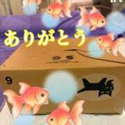 ヒメ日記 2025/08/26 15:12 投稿 いやし ドンファン