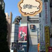 ヒメ日記 2025/08/26 22:19 投稿 いやし ドンファン