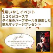 ヒメ日記 2025/09/01 07:00 投稿 いやし ドンファン
