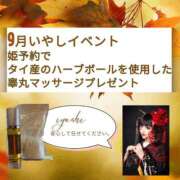 ヒメ日記 2025/09/04 23:33 投稿 いやし ドンファン