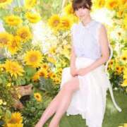 ヒメ日記 2025/09/06 08:02 投稿 いやし ドンファン