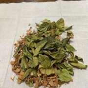 ヒメ日記 2025/09/07 06:59 投稿 いやし ドンファン