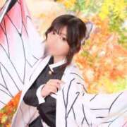 ヒメ日記 2025/09/09 13:39 投稿 いやし ドンファン