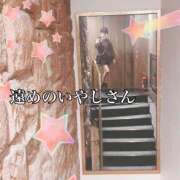 ヒメ日記 2025/09/10 06:15 投稿 いやし ドンファン