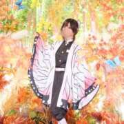 ヒメ日記 2025/09/11 14:19 投稿 いやし ドンファン