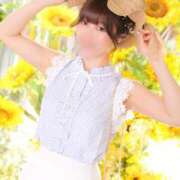 ヒメ日記 2025/09/15 14:20 投稿 いやし ドンファン