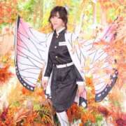 ヒメ日記 2025/09/17 13:30 投稿 いやし ドンファン